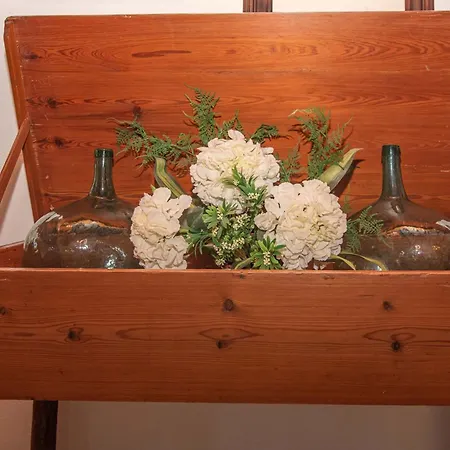 Colonya By Sealand *