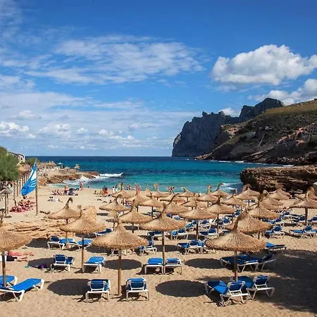 Colonya By Sealand Willa *